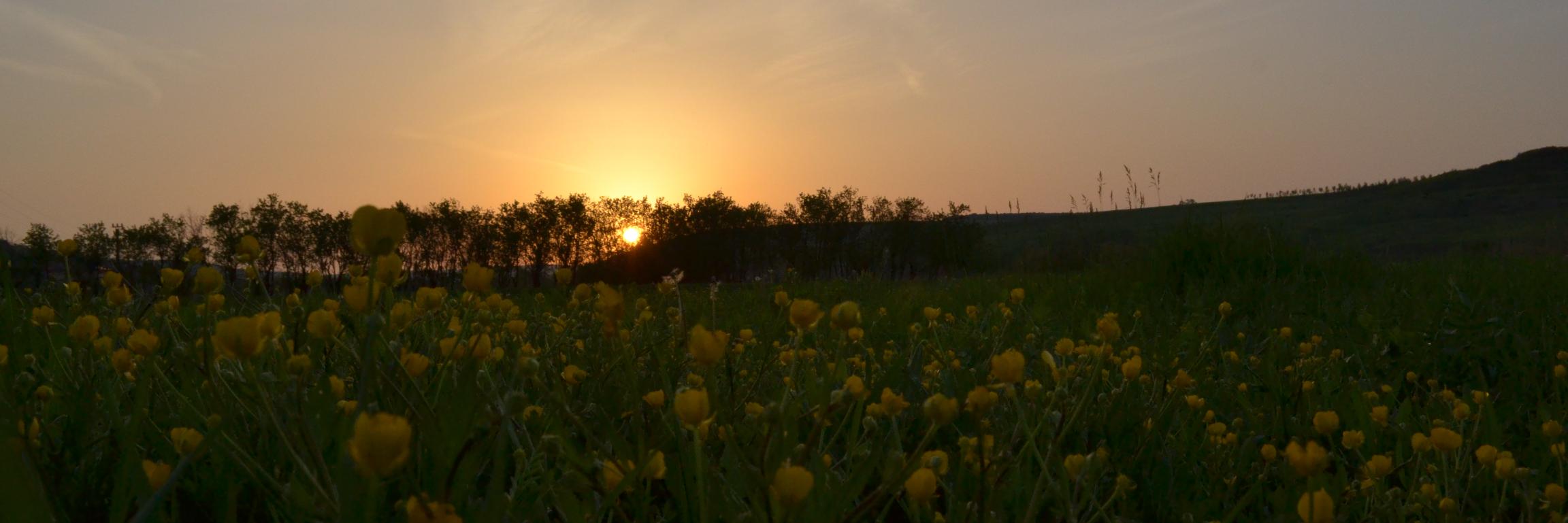 Andra 🌄🇷🇴 banner