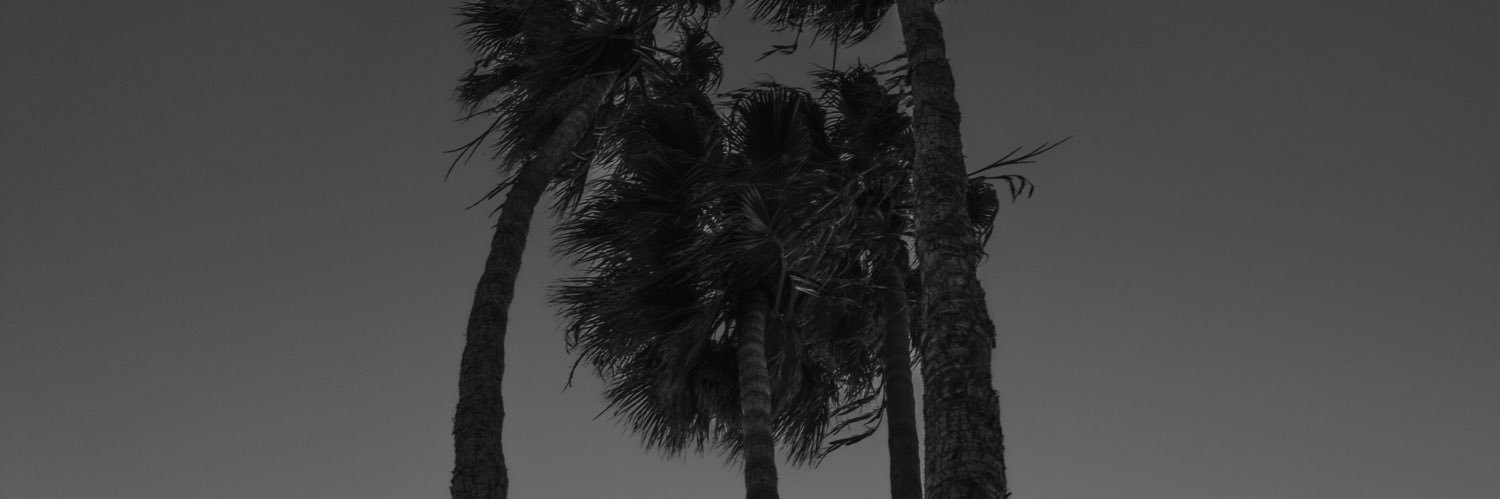 mehriyo's profile banner image
