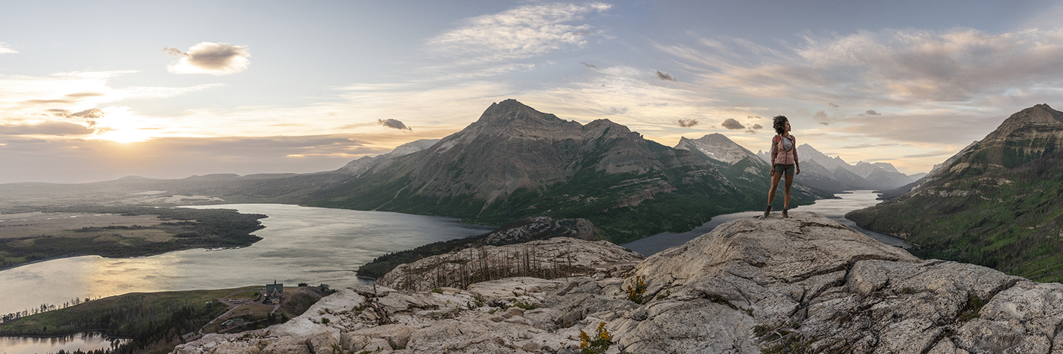 David Goldstein banner