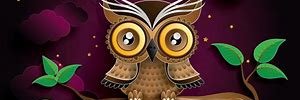 Tassy- 🍂🦉 The Autumn Owl🍂 🦉 banner
