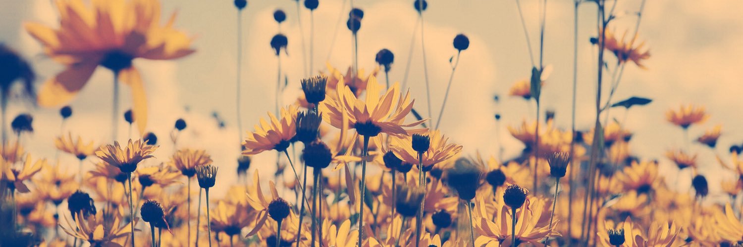 alia_lynn22's profile banner image