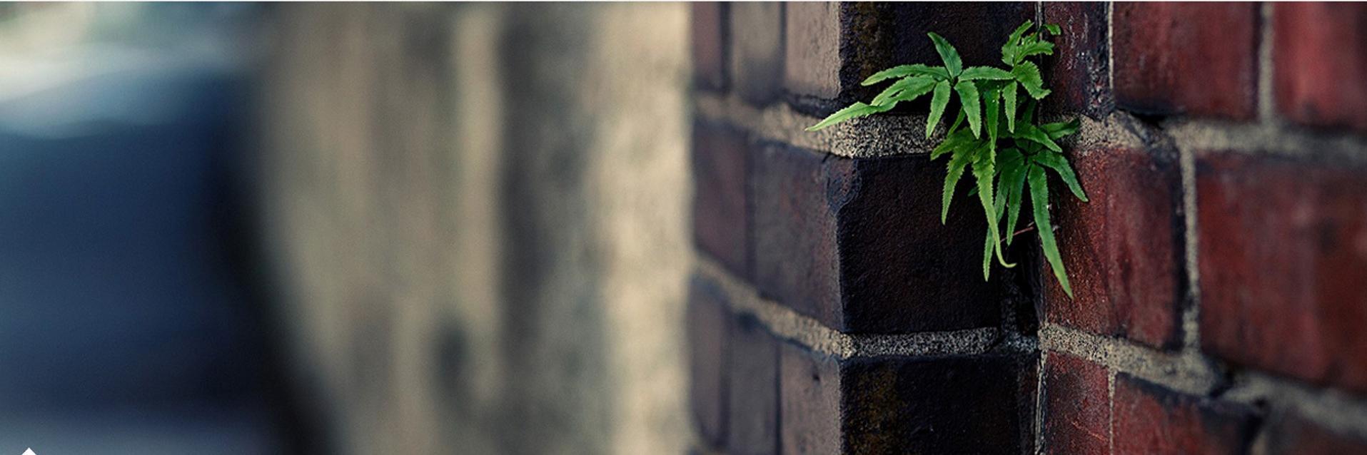 JulieDgst's profile banner image