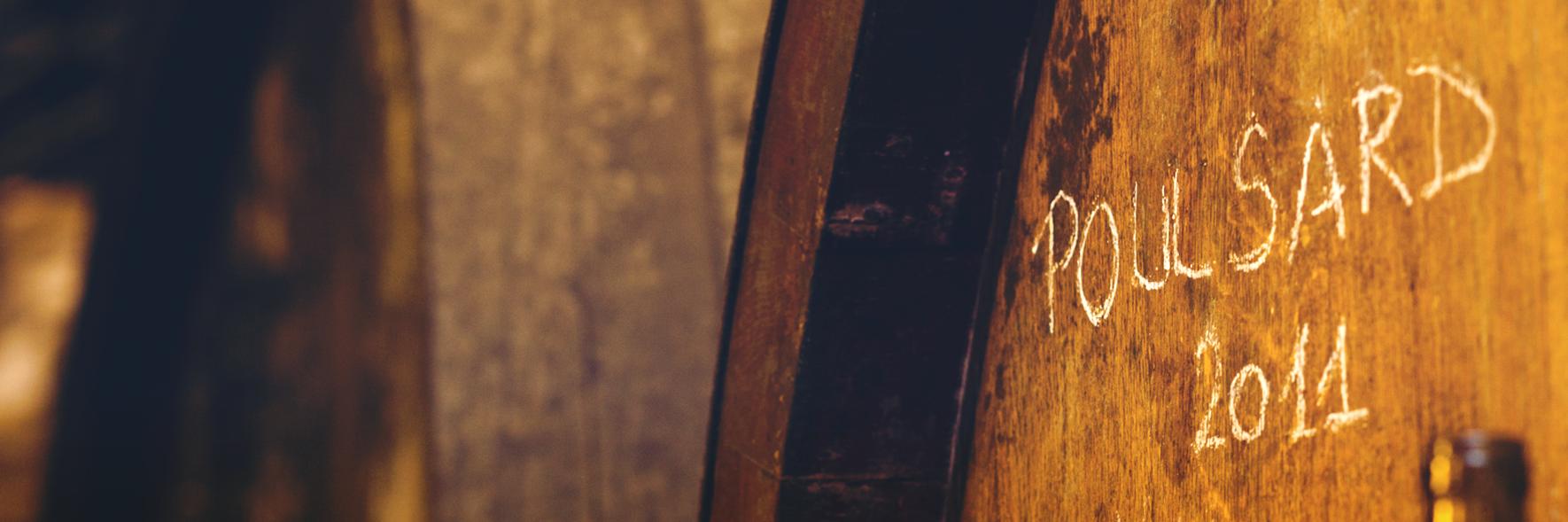 domainelapinte's profile banner image