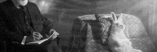 CLOCKWISEWITNES's profile banner image