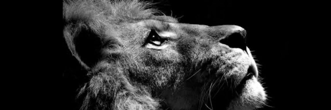 felipeamrm's profile banner image