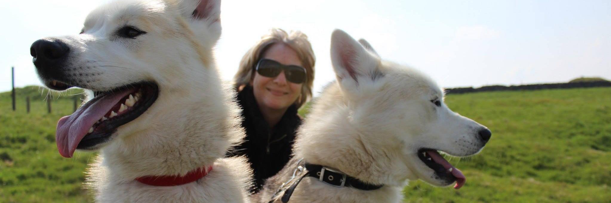 Help Find Blu & Zac banner