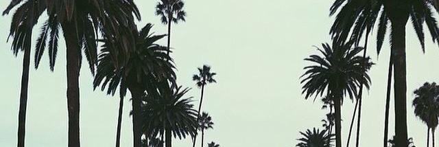 MMandreea09's profile banner image