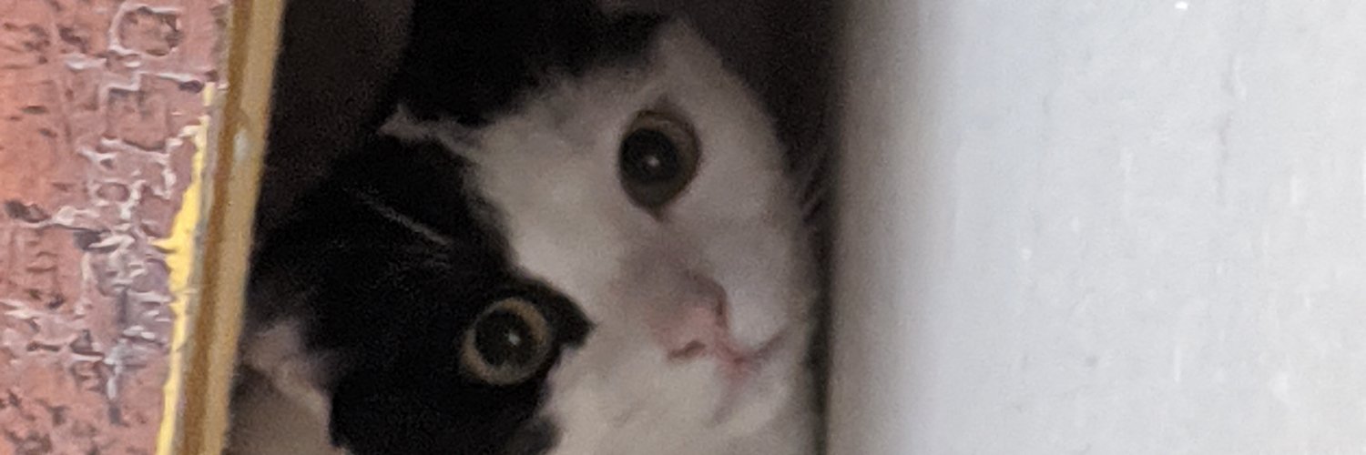 Mycatmaxatx's profile banner image