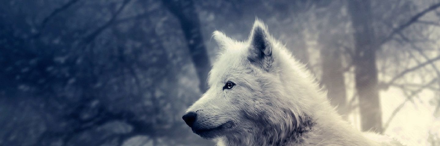 awepsome's profile banner image