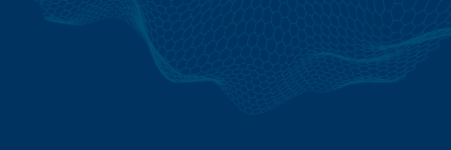 F. Vaquer banner