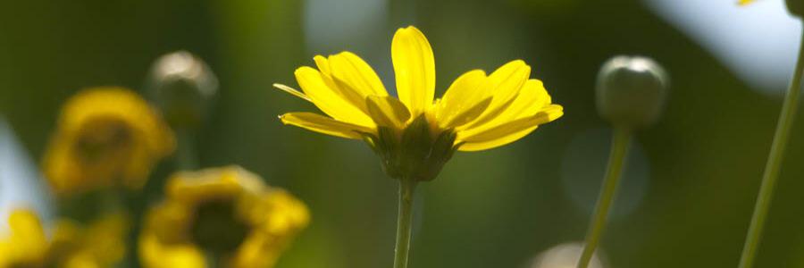 TONKIN325's profile banner image