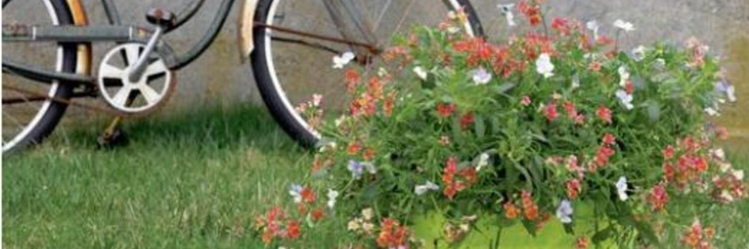 NoveltyManufacturing on Twitter "Glamour shots? http//t.co/DVjHGD18"