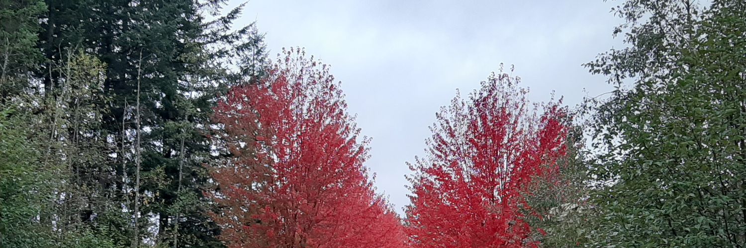 wisdomwide10's profile banner image