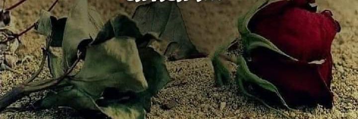 30afyonlu's profile banner image