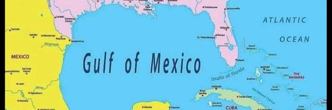 Greg Ilkka 🇺🇸🏴‍☠️ banner