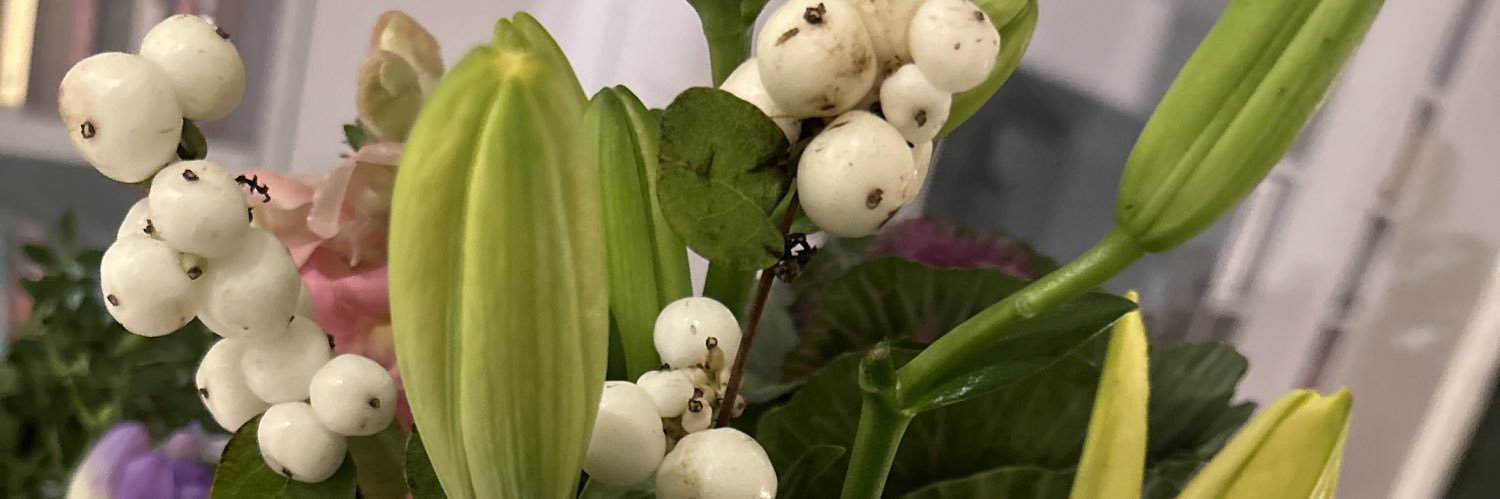 Stacy Clements banner