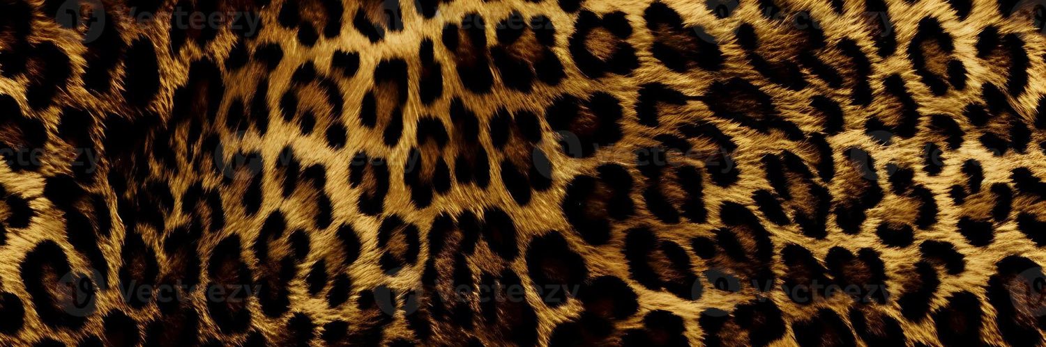 softgirldraya's profile banner image