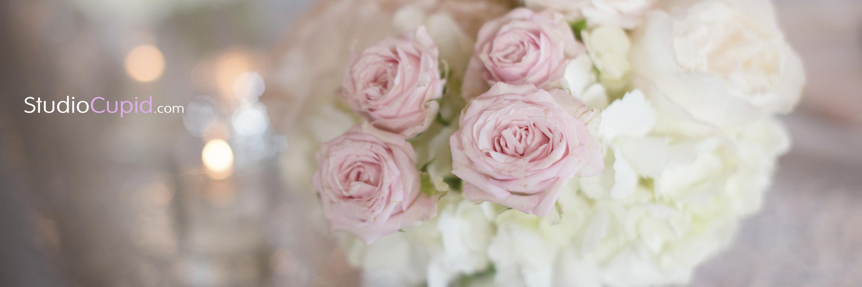studiocupid's profile banner image