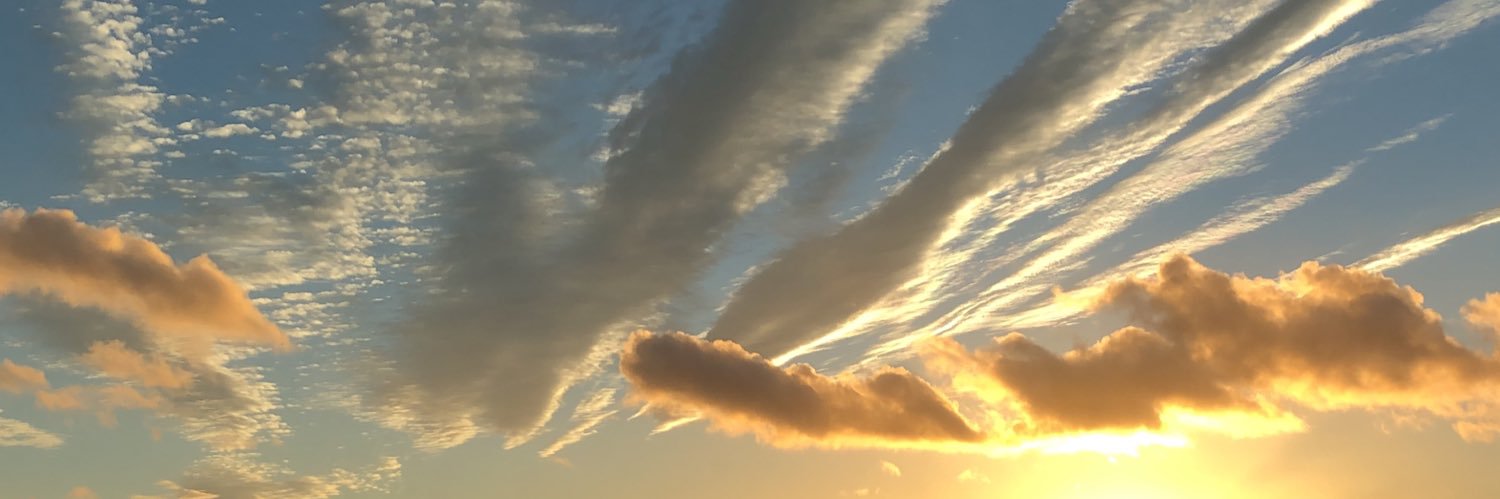 WrexThePup's profile banner image