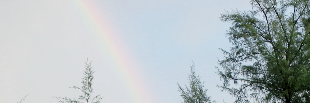 criszeen's profile banner image