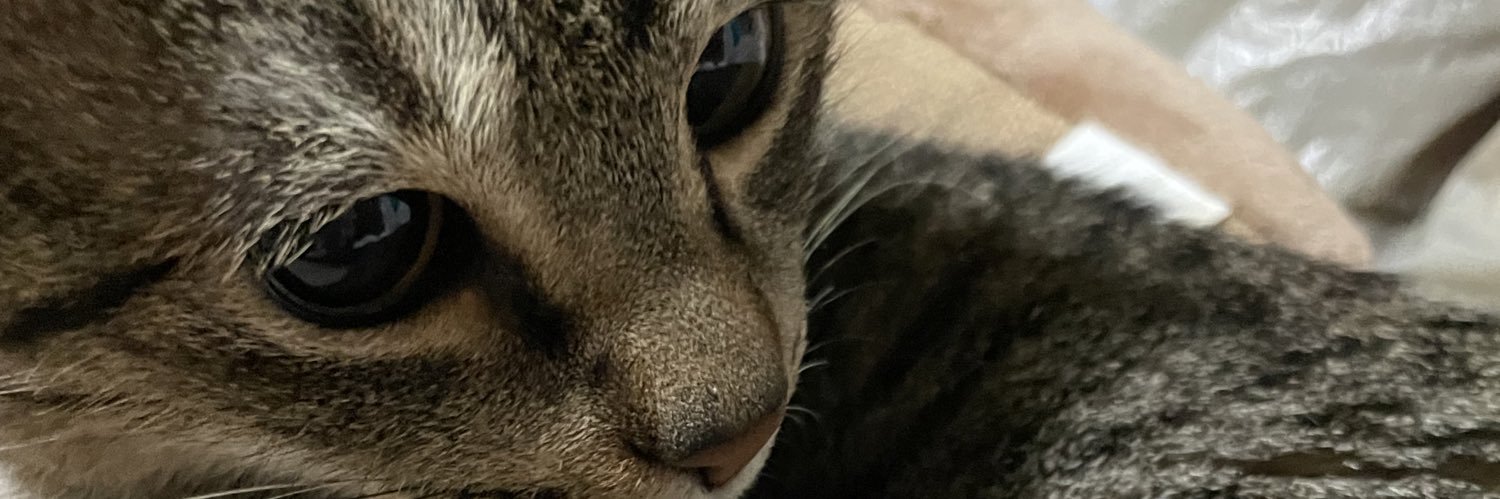 spicebbc1's profile banner image