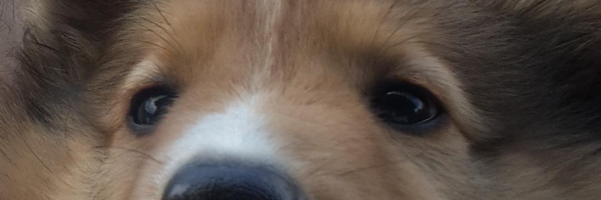 CBAguillote's profile banner image