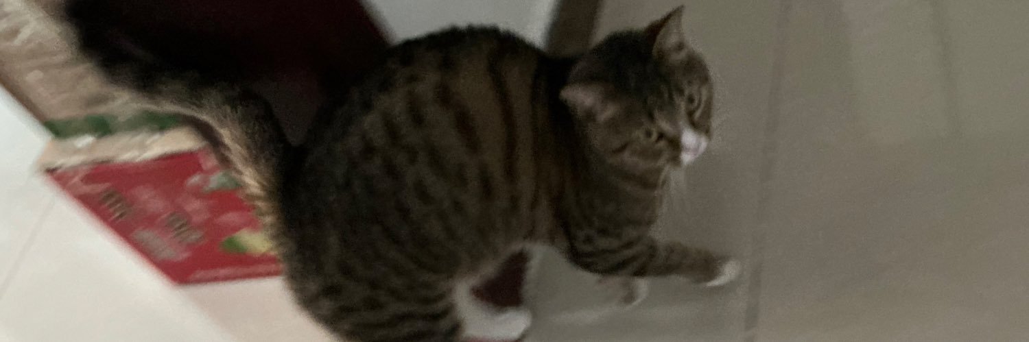 frankoooool's profile banner image