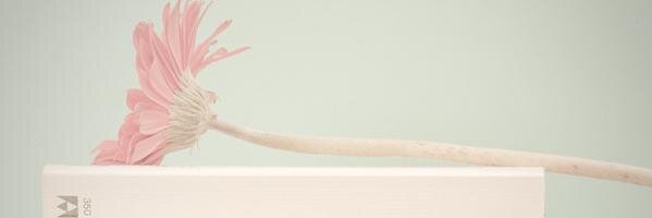 dhea_mustika's profile banner image