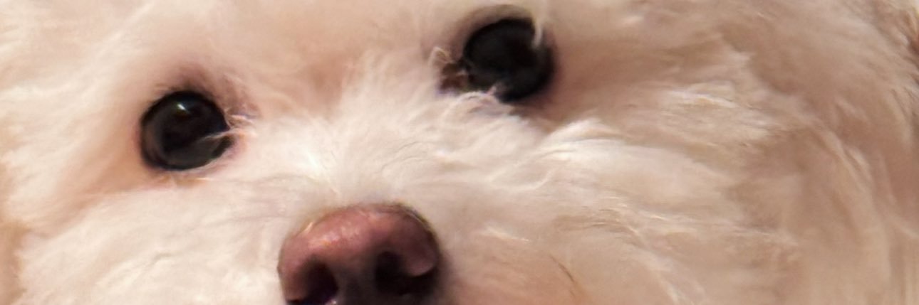 Fellasskaa's profile banner image