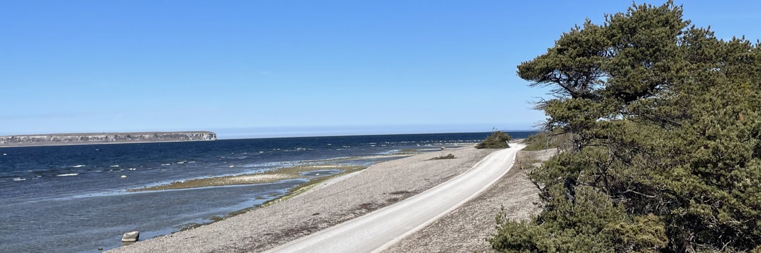 Felix Berggren banner