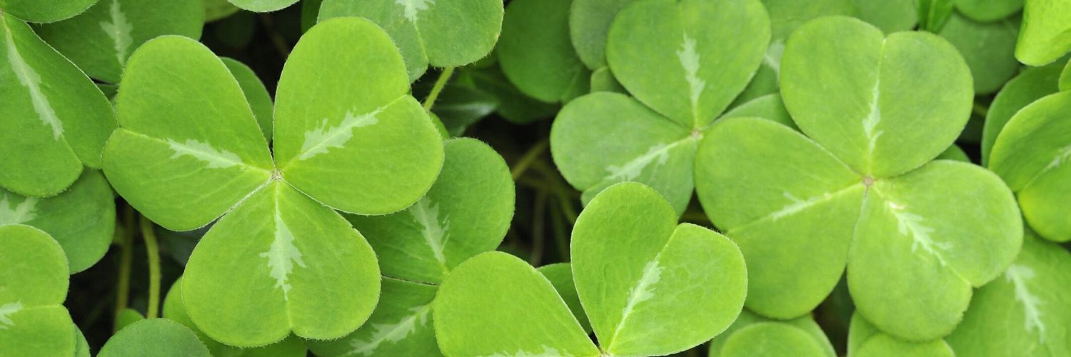 Irish1nterest's profile banner image