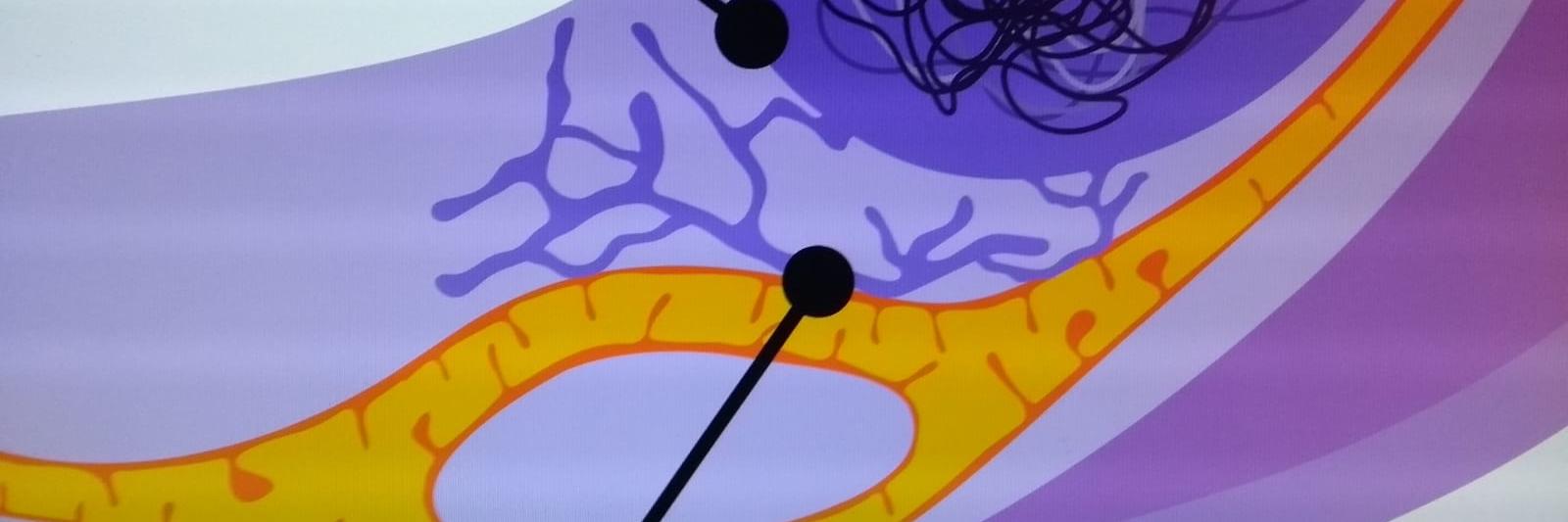 Jeremy Wideman banner