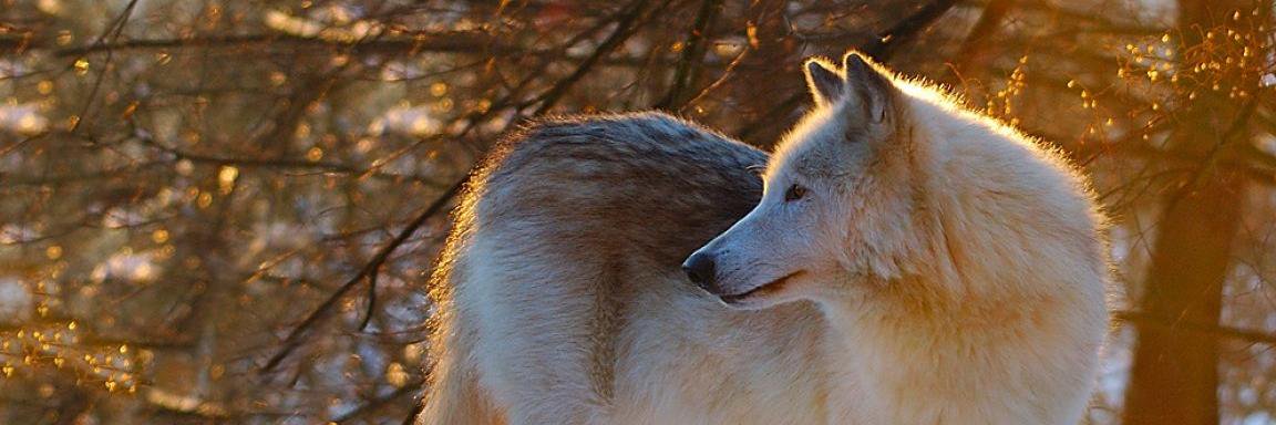 kajacek2002's profile banner image
