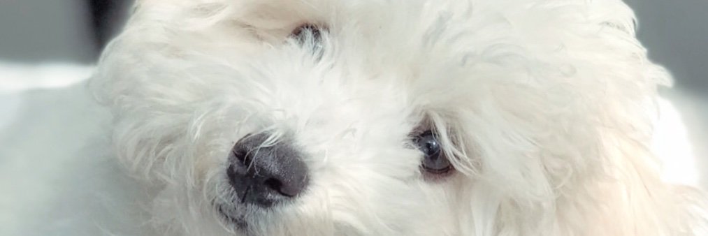 TasaVlada's profile banner image