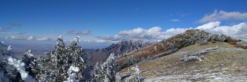 James M. Woodward banner