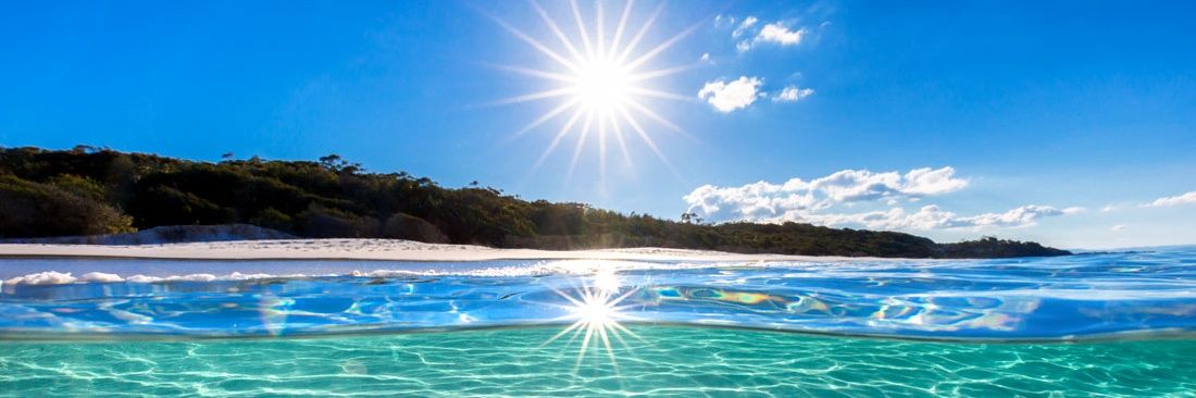 Esther Puerto banner