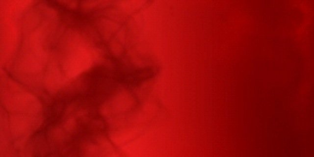 WWEKane's profile banner image