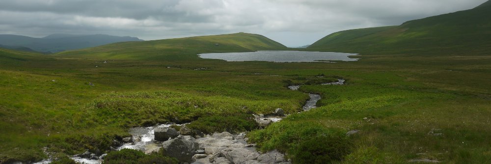 David Marcroft banner