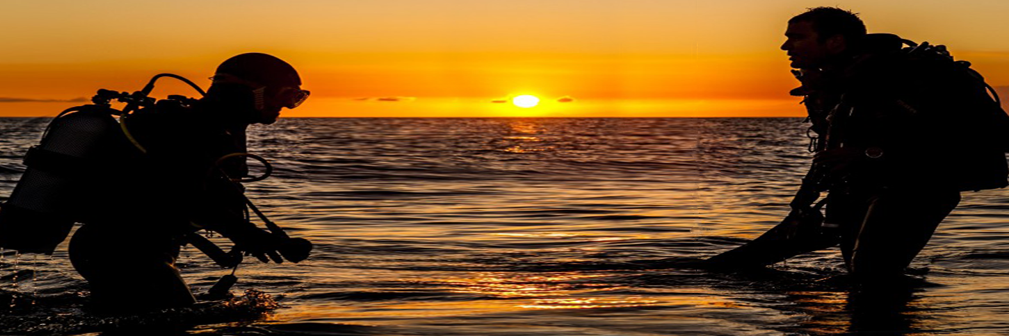 DiveInternship's profile banner image