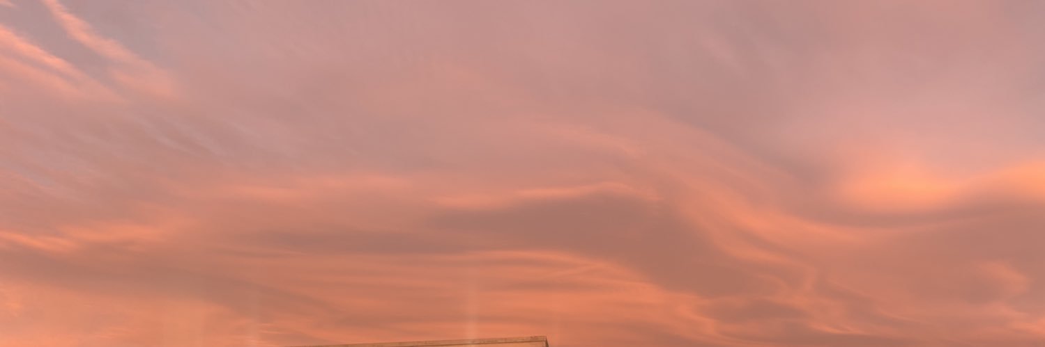 Tara Davies banner