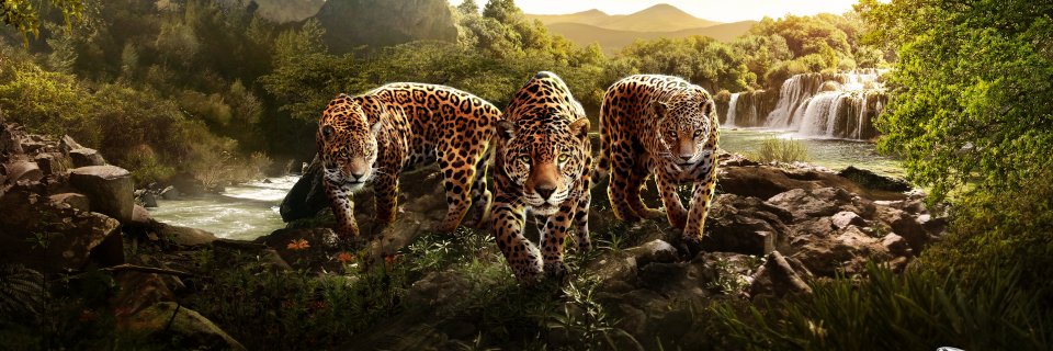 hesham_m_adel's profile banner image