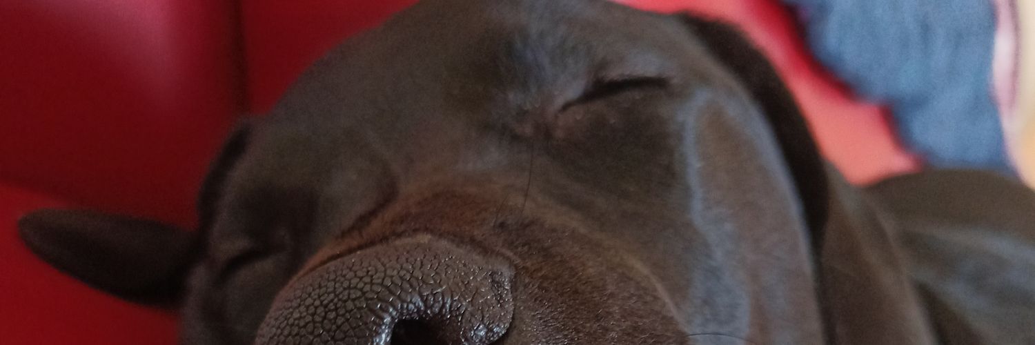 1878Dale's profile banner image
