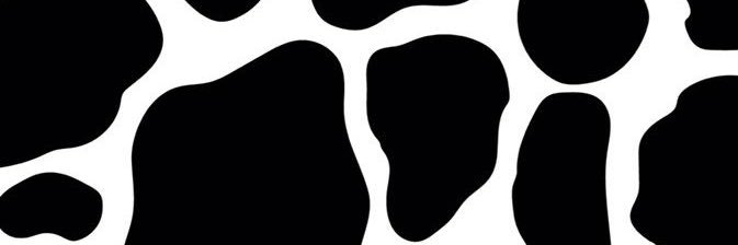 aranzC's profile banner image