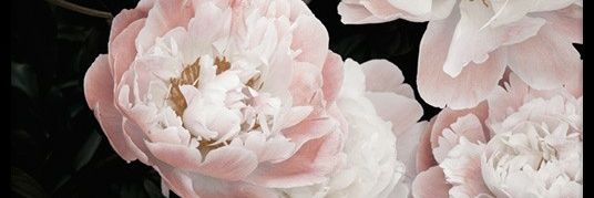 OppaIsMyStyle12's profile banner image