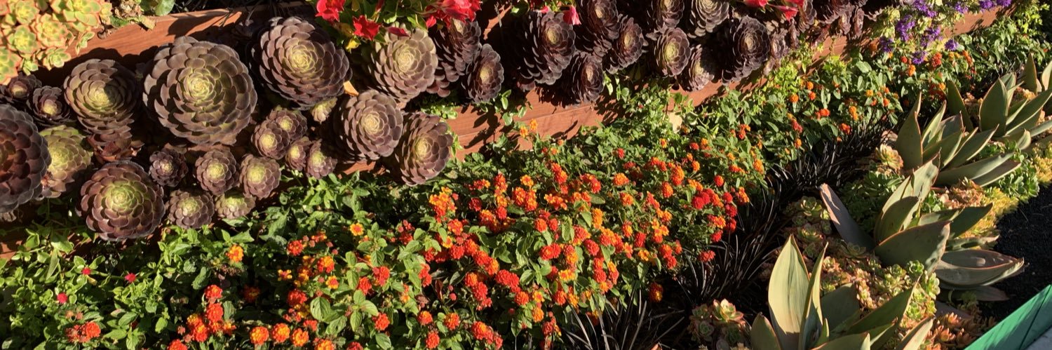 Dr. Lucia Carbone 🇮🇹🦧🦍🔬🧬 banner