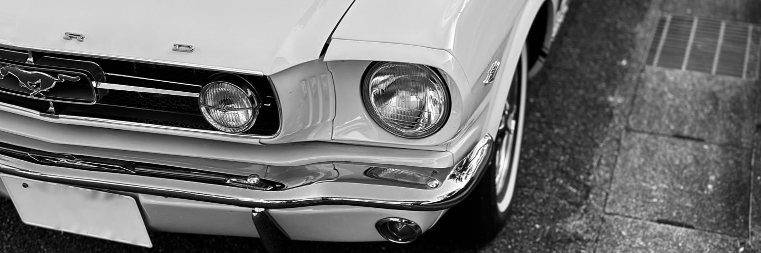 WonderfulWild's profile banner image