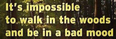 Sheffield Outdoors banner