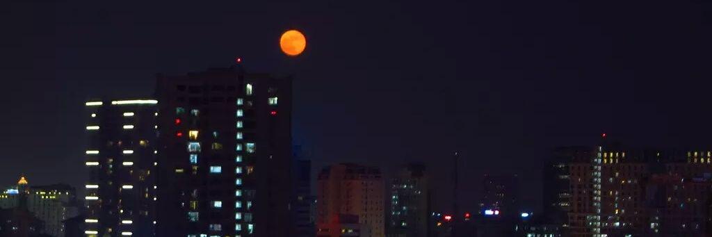 Nguyễn Hoàng Trung banner