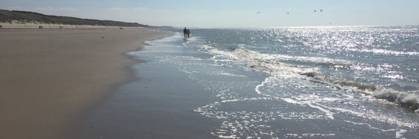 JulianBKing Profile Banner