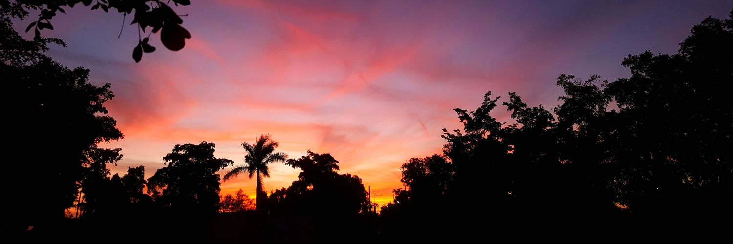d_canez's profile banner image